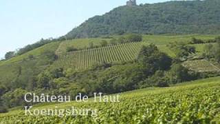 Cycling Alsace Wine Route [upl. by Ahsemit621]