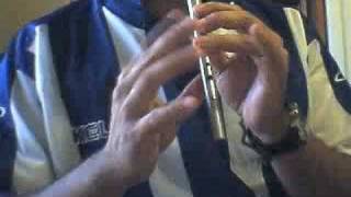 Donnybrook Fair Tin Whistle [upl. by Honor]