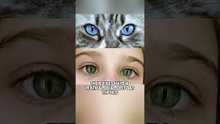 Does Cats Eye Syndrome Actually Exist [upl. by Hock]