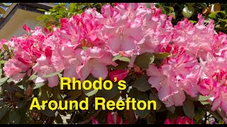 Rhodos around Reefton [upl. by Savil825]