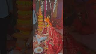 Mahechawedding baisaraj royalfamily wedding [upl. by Aneda]