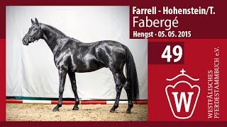 49 Farbergé Hengst vFarell  Hohenstein Longe [upl. by Sirrah]