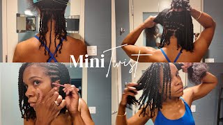 Twist Out on Blown out Hair  No Hair Added  One Product Style  Easy Hairstyle [upl. by Llehcar]