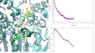 Binding event between Donepezil and Acetylcholinesterase [upl. by Spanjian698]