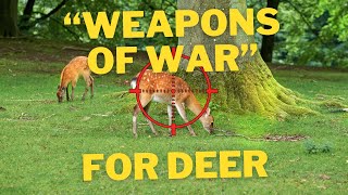 quotWeapons Of Warquot To Be Used For Deer Cull  A Lawyer Explains [upl. by Nairbo]