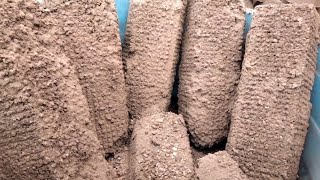 Grittiness overloaded brown dirt 🤎 sand mix dry crumbling in tub satisfying ASMR sounds [upl. by Hephzipa]