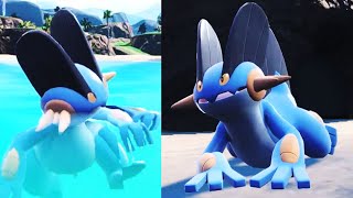 Gamefreak made Synchro Swampert kinda [upl. by Nibram822]