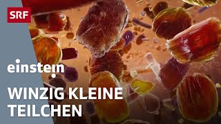 Revolution Nanotechnologie – die faszinierenden MiniTeilchen sind überall  Einstein  SRF Wissen [upl. by Einot935]