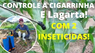 Aplicação de Inseticidas para controle da Cigarrinha e Lagarta [upl. by Zorina]