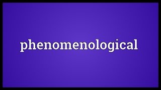 Phenomenological Meaning [upl. by Hanad]