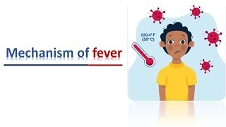 Mechanism of fever شرح [upl. by Magbie911]