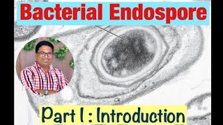 Bacterial Endospore formation Introduction Part I [upl. by Kalindi255]