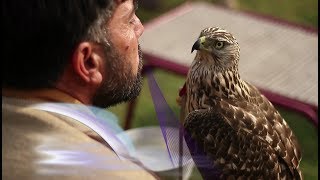 Palm Nest  Falconry Culture of Pakistan [upl. by Adniralc]