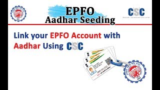 EPFO Aadhar Seeding Process in CSC Digital Seva [upl. by Lucretia]