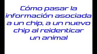 Como pasar datos de un chip a otro al reidentificar el animal con el Tru Test XRS2 XRS2i [upl. by Ynitsed408]