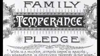 Temperance Movement Music Video [upl. by Kalie386]