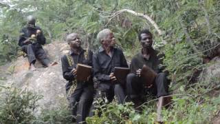 Dambatsoko Mbira Group play Mutamba 2016 [upl. by Abihsat620]