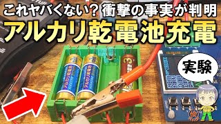 衝撃の事実が判明！アルカリ乾電池の充電実験をご紹介します！ [upl. by Nedac]