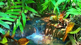 Soothing Gentle Sounds  Babbling Brook for Deep Relaxation and Sleep  10 hours [upl. by Yasui365]