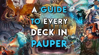 A Guide To Every Deck In Pauper [upl. by Cressi793]