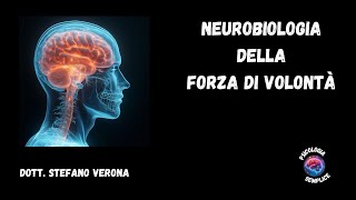 Le Basi Neurali della Forza di Volontà Un Viaggio nel Cervello [upl. by Armyn]