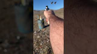 Shooting Colt Anaconda 6” barrel for fun in desert 320 Grain DoubleTap 44 Mag ammo [upl. by Ronda]