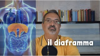 3 RILASSAMENTO e RESPIRAZIONE  il lavoro del DIAFRAMMA [upl. by Jermyn]