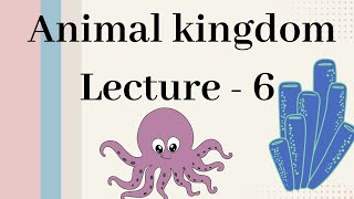 Ctenophora  Animal kingdom Lecture  6 [upl. by Aubine]