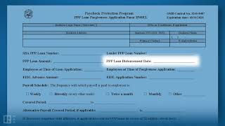 How to Complete the PPP Loan Forgiveness Application Form 3508EZ [upl. by Skricki913]