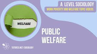 Public Welfare  AQA A Level Sociology  Work Poverty amp Welfare [upl. by Teraj549]