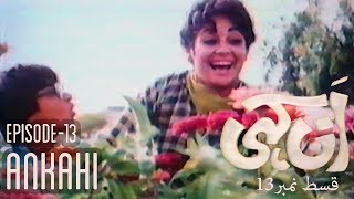 Ankahi 1982  Episode 13  Classic TV Serial  Shehnaz Sheikh  Shakeel  Javed Sheikh [upl. by Nitsrik]