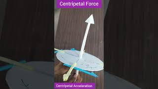 Centripetal Force ll Centripetal Acceleration ll Centrifugal Force ll Angular and Linear Velocity ll [upl. by Orelle]