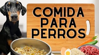 COMIDA PARA PERROS  RECETA CON CARNE MOLIDA  FACIL NUTRITIVA [upl. by Rachele]