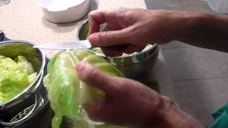 Persian Mom Cooking Cabbage Roll Episode  29 [upl. by Legra]