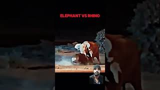 Rhino vs Elephant animals lion rhino wildlife leopard lion tiger fighter viralshorts [upl. by Jordana]