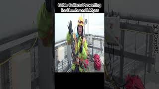 Cable Collars Preventing Ice Bombs on Bridges CableCollars BridgeSafety IcePrevention [upl. by Shetrit]