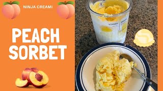 Peach Sorbet 🍑 Ninja Creami  3 Ingredients [upl. by Sola]