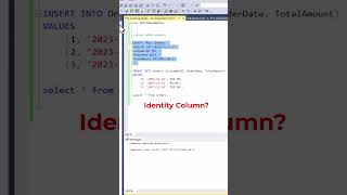 SQL Identity Column Example datascience programming coding [upl. by Branham]