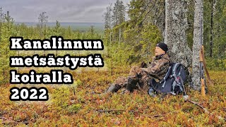 Kanalinnun metsästystä koiran kanssa 2022 [upl. by Eli]