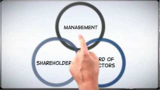 Corp 101 The Basics of Corporate Structure [upl. by Haran]