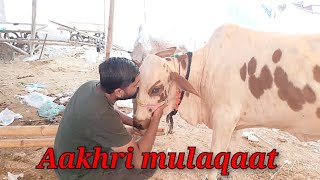 ALHAMDULILLH Qurbani hogai  Aakhri Mulaqaat 😢 [upl. by Mak841]