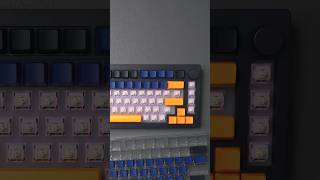 Akko V3 Creamy Purple Pro Tactile Switches Sound Test [upl. by Lleon834]