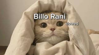 Billo Rani slowed and reverb billorani bollywoodsongs bollywoodmovies bollywood [upl. by Spiro]