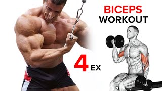 Best Biceps Exercises  Short Head  Long Head  Brachialis [upl. by Allissa]