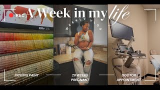 WEEKLY VLOG  20 weeks pregnant doctor appointment painting nursery how have I been feeling [upl. by Leiru]