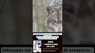 ebook grátis O CHAMADO SELVAGEM Jack London foryou historia ebookgratuito [upl. by Sallee666]