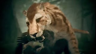 ANCESTORS  HOMINID HUNTED AND MAULED BY MACHAIRODUS BIG CAT [upl. by Redienhcs]