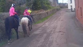 An example of inconsiderate horse riders Kennford [upl. by Anauqcaj]