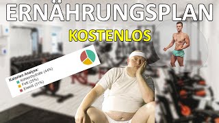 Kostenloser Ernährungsplan  so erstelle ich einen Ernährungsplan  Diätplan [upl. by Gernhard]