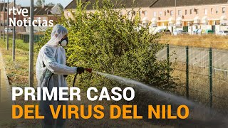 En SEVILLA se ha detectado un CASO del VIRUS del NILO en un enfermo con COVID19  RTVE [upl. by Tabbitha]